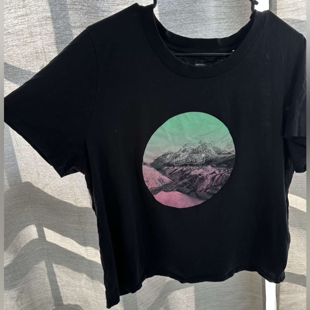 Levi crop top tee shirt